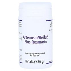 Артемизинин 150 мг капс. 60шт в Махачкале и области фото