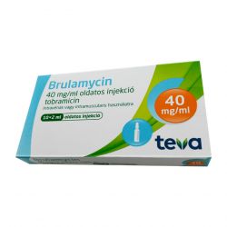 Бруламицин раствор для инъекций 40мг/мл 2мл! (80мг) ампулы №10 в Махачкале и области фото
