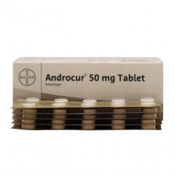 Андрокур (Ципротерон) таблетки 50мг №50 в Махачкале и области фото