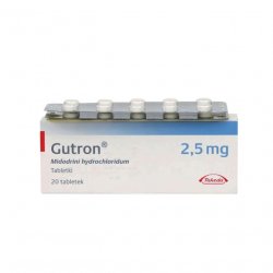 Гутрон таблетки 2,5 мг. №20 в Махачкале и области фото